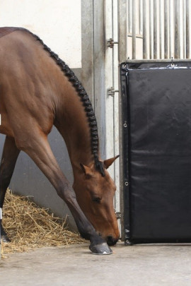 Verplaatsbare Kick Pad van het merk Kentucky Horsewaer Verplaatsbare Kick Pad van het merk Kentucky Horsewaer
