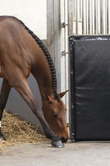 Verplaatsbare Kick Pad van het merk Kentucky Horsewaer Verplaatsbare Kick Pad van het merk Kentucky Horsewaer