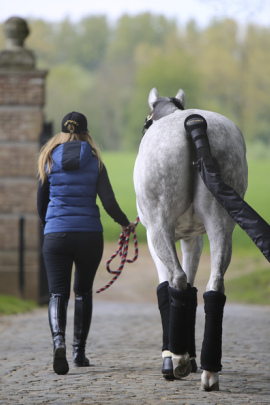 Kentucky Horsewear Stable Bandage Pads Kentucky Horsewear Stable Bandage Pads