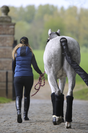 Kentucky Horsewear Stable Bandage Pads Kentucky Horsewear Stable Bandage Pads