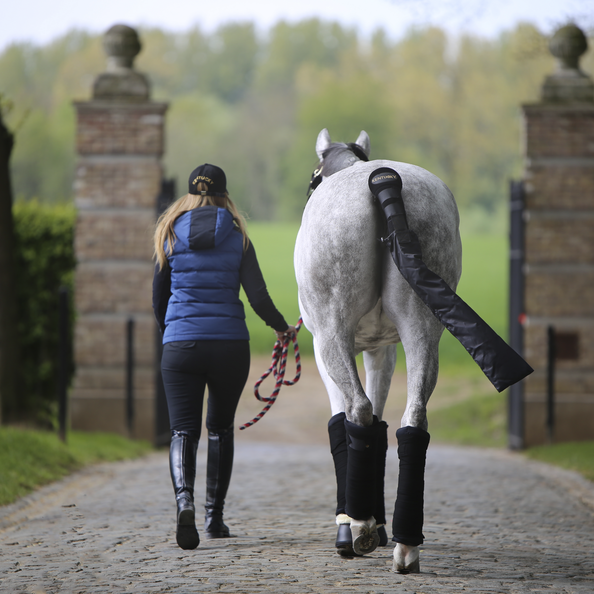 Kentucky Horsewear Stable Bandage Pads Kentucky Horsewear Stable Bandage Pads