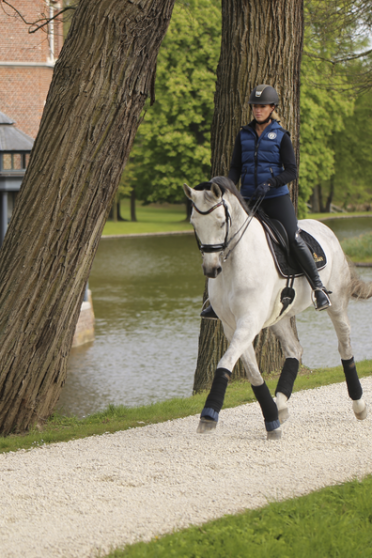 Kentucky Horsewear Working Bandage Pad Absorb 45x30 Kentucky Horsewear Working Bandage Pad Absorb 45x30