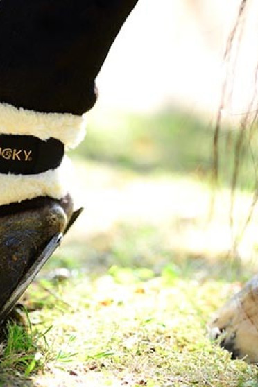 Kentucky Turnout Boots Laeather Kentucky Turnout Boots Laeather