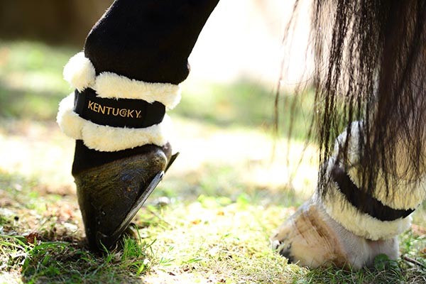 Kentucky Turnout Boots Laeather Kentucky Turnout Boots Laeather