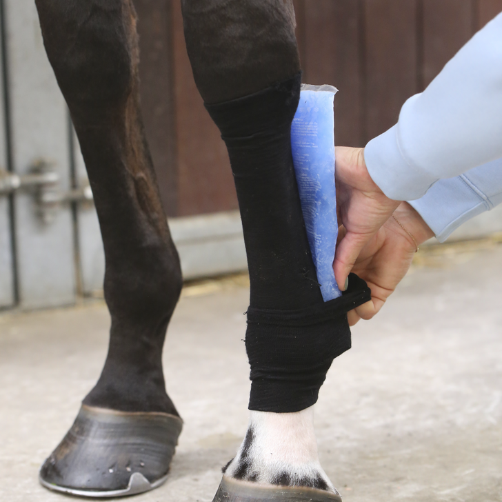 De Tendon Grip van het merk Kentucky Horsewear. De Tendon Grip van het merk Kentucky Horsewear.
