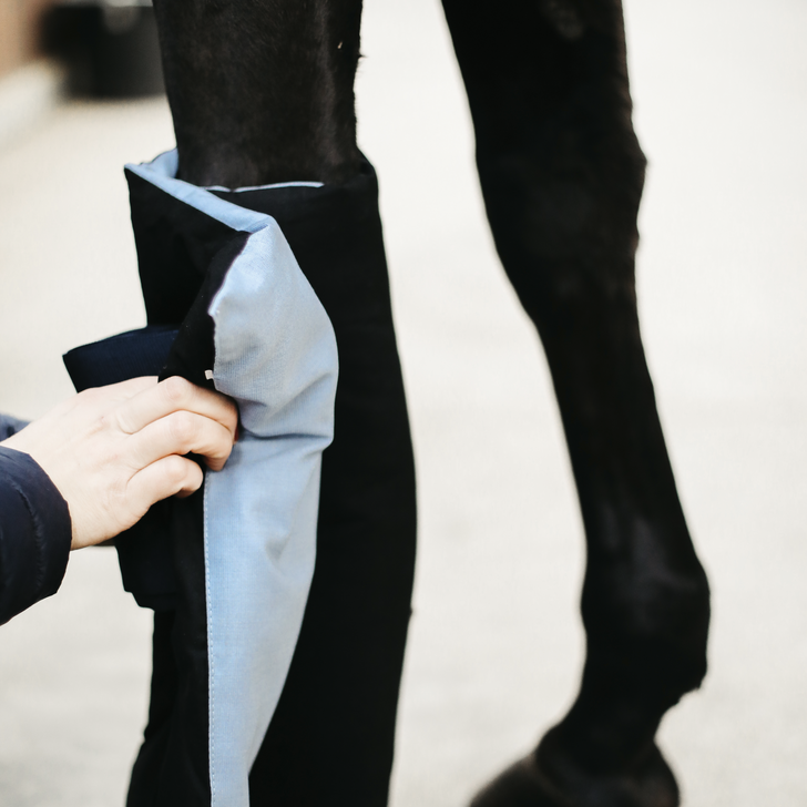 De Magnetische Stalbeschermer is ideaal voor paarden die last hebben van chronische artritis of peesproblemen. De Magnetische Stalbeschermer is ideaal voor paarden die last hebben van chronische artritis of peesproblemen.