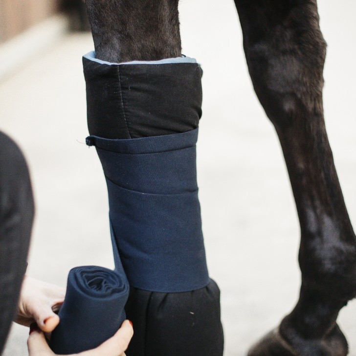 De Magnetische Stalbeschermer is ideaal voor paarden die last hebben van chronische artritis of peesproblemen. De Magnetische Stalbeschermer is ideaal voor paarden die last hebben van chronische artritis of peesproblemen.