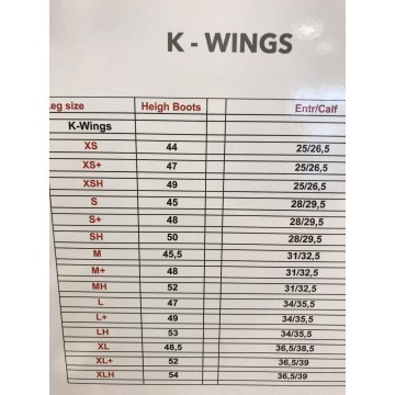 Parlanti K-Wings Minichaps