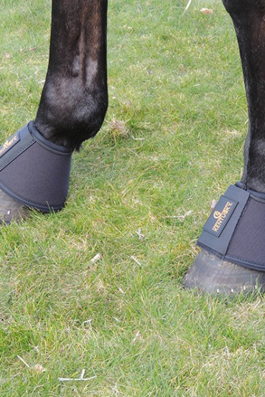 Kentucky Springschoenen D30 Kentucky Springschoenen D30