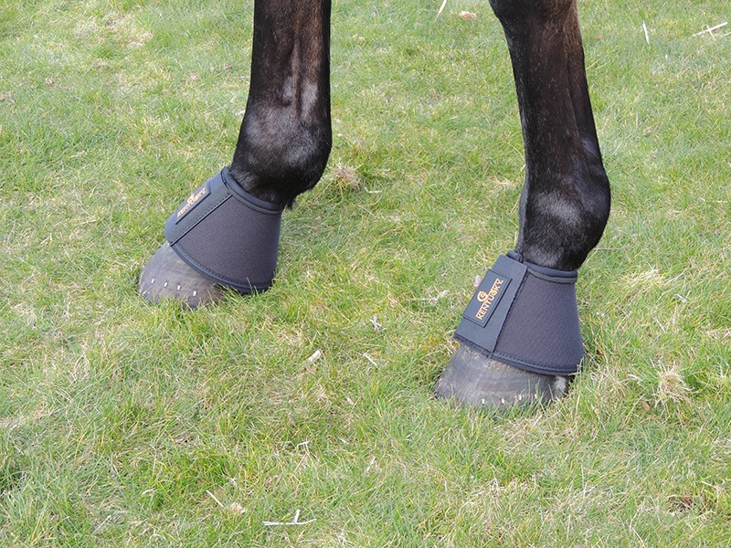 Kentucky Springschoenen D30 Kentucky Springschoenen D30