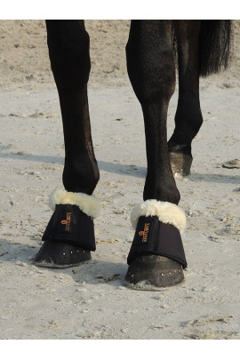 Kentucky Springschoenen Bont Kentucky Springschoenen Bont