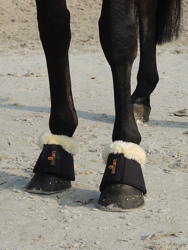 Kentucky Springschoenen Bont Kentucky Springschoenen Bont