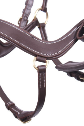 Anatomisch gevormd hoofdstel Devi dat de zenuwen en gevoelige punten van het paardenhoofd zoveel mogelijk vermijdt. Anatomisch gevormd hoofdstel Devi dat de zenuwen en gevoelige punten van het paardenhoofd zoveel mogelijk vermijdt.