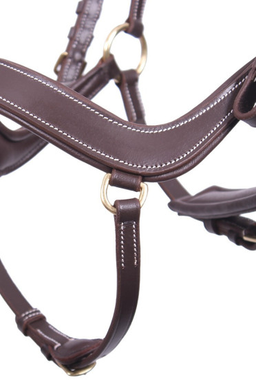 Anatomisch gevormd hoofdstel Devi dat de zenuwen en gevoelige punten van het paardenhoofd zoveel mogelijk vermijdt. Anatomisch gevormd hoofdstel Devi dat de zenuwen en gevoelige punten van het paardenhoofd zoveel mogelijk vermijdt.