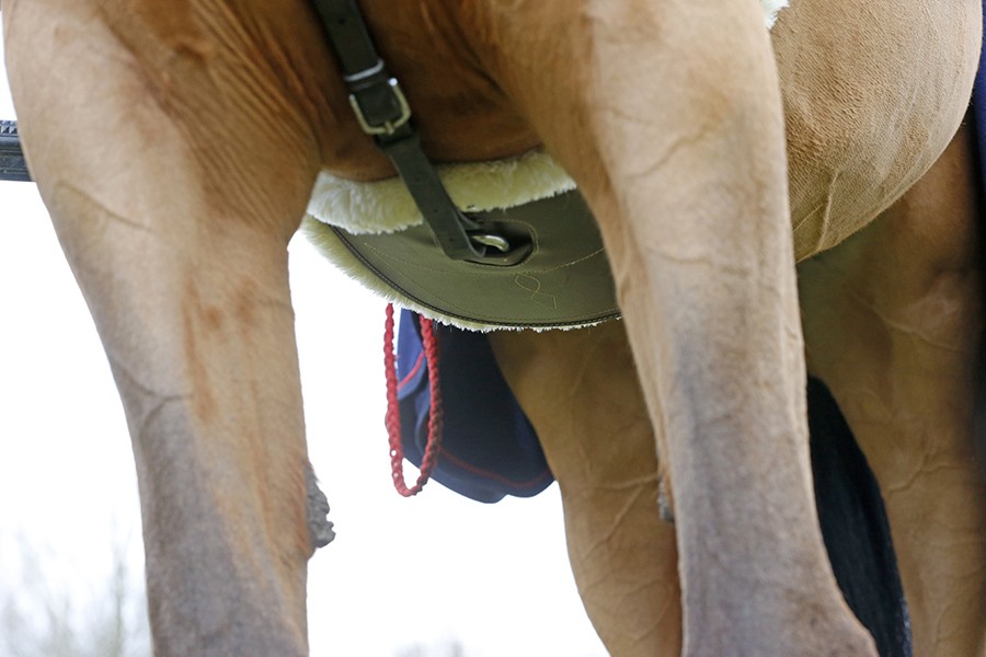 Kentucky Buikflap Bont Kentucky Buikflap Bont