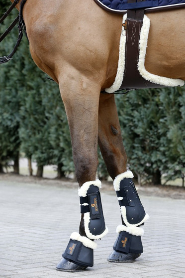 Kentucky Buikflap Bont Kentucky Buikflap Bont