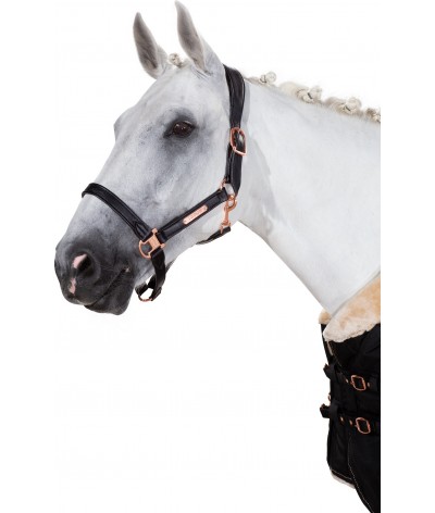 Rydale Horse Head Collar Headcollars Horses Equestrian Equipment Polo 4 Colours