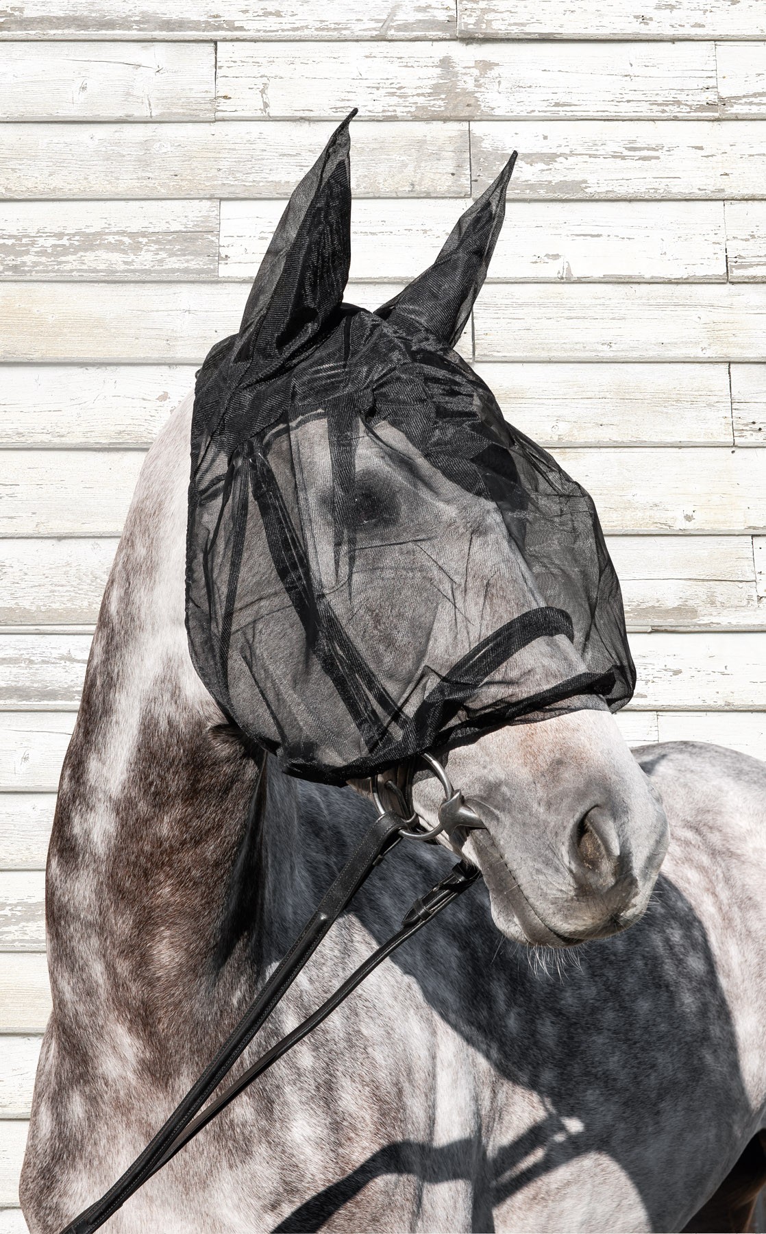 Equiline Vliegenmasker