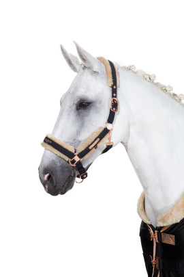Prachtige halster uit de 'Heritage 20/21' collectie van het merk Eskadron