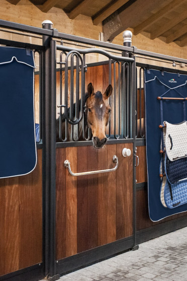 Equiline Stable Curtain Short