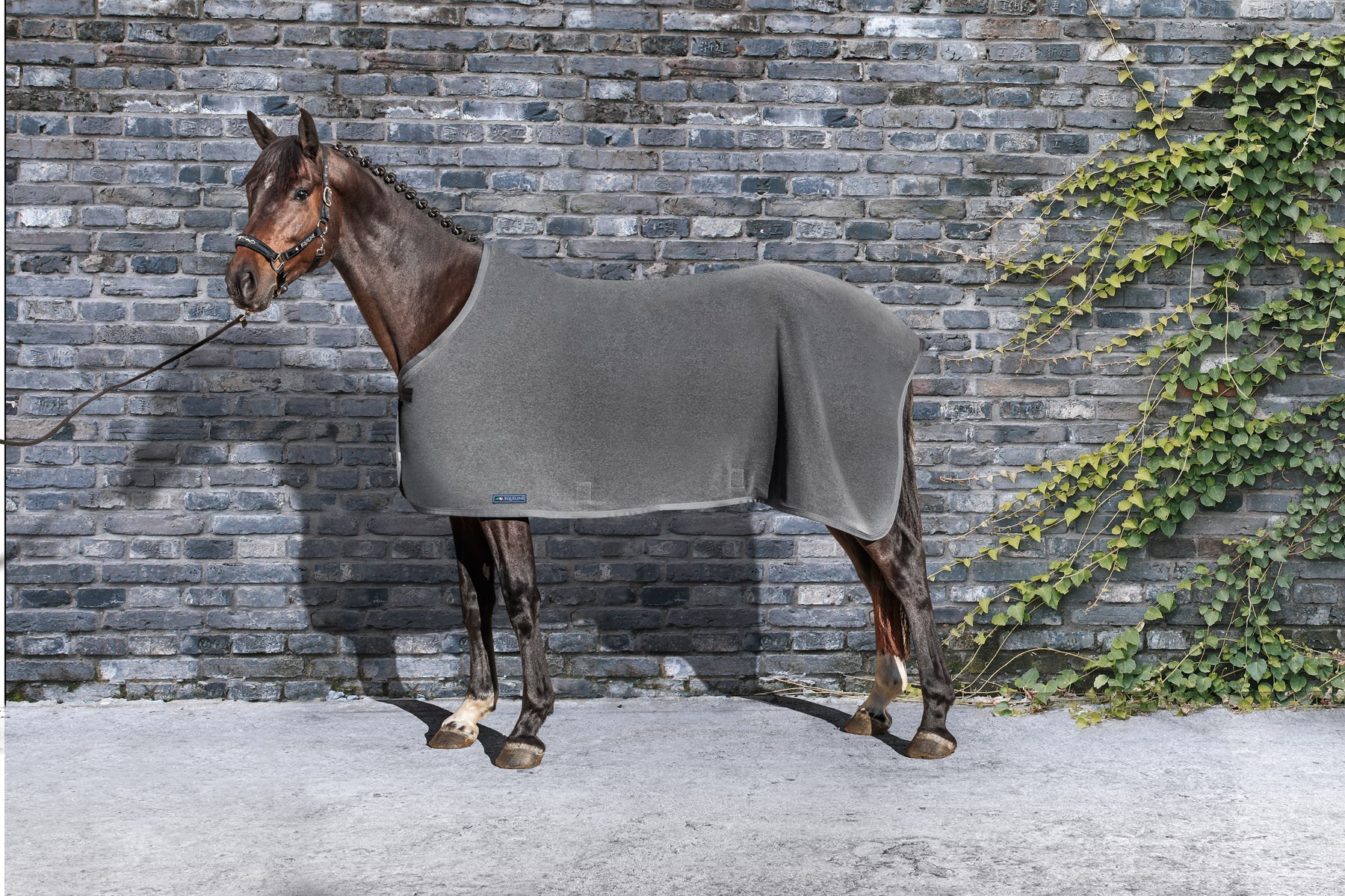 Equiline Fleece Deken Hugo Equiline Fleece Deken Hugo