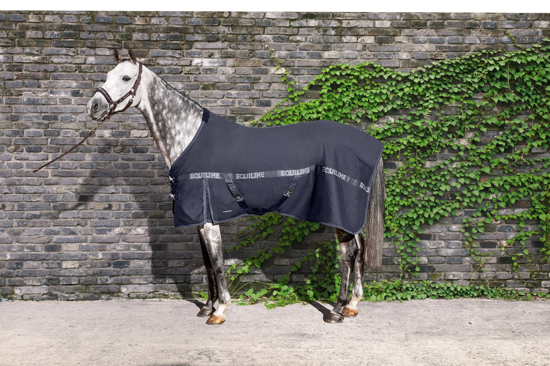 Equiline Stable Rug Reynosa Equiline Stable Rug Reynosa