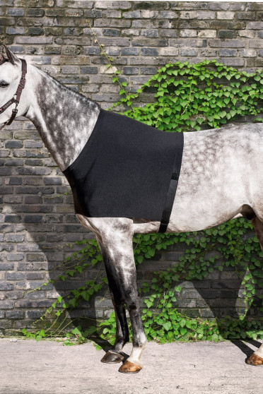 Equiline Borst Beschermer Edinburgh Equiline Borst Beschermer Edinburgh