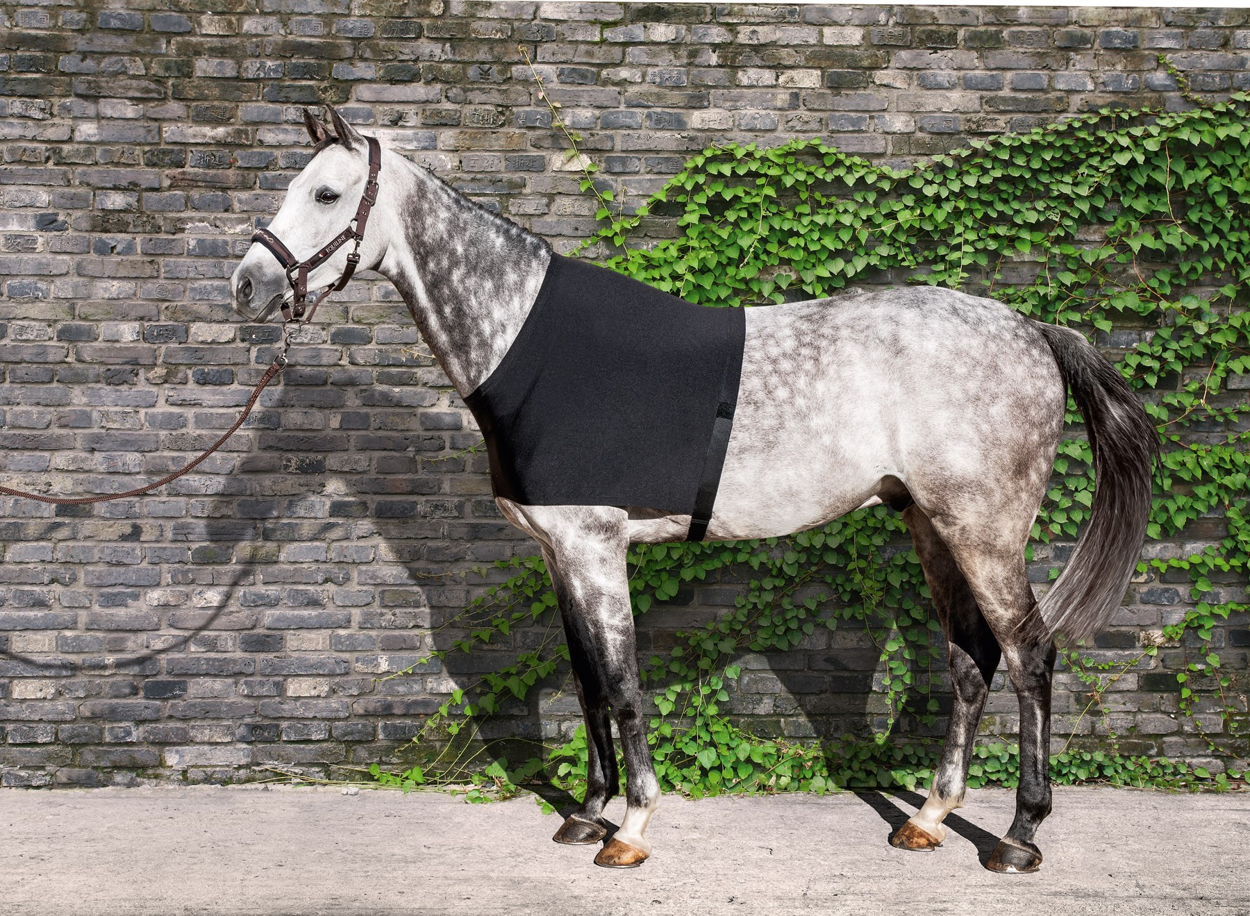 Equiline Borst Beschermer Edinburgh Equiline Borst Beschermer Edinburgh