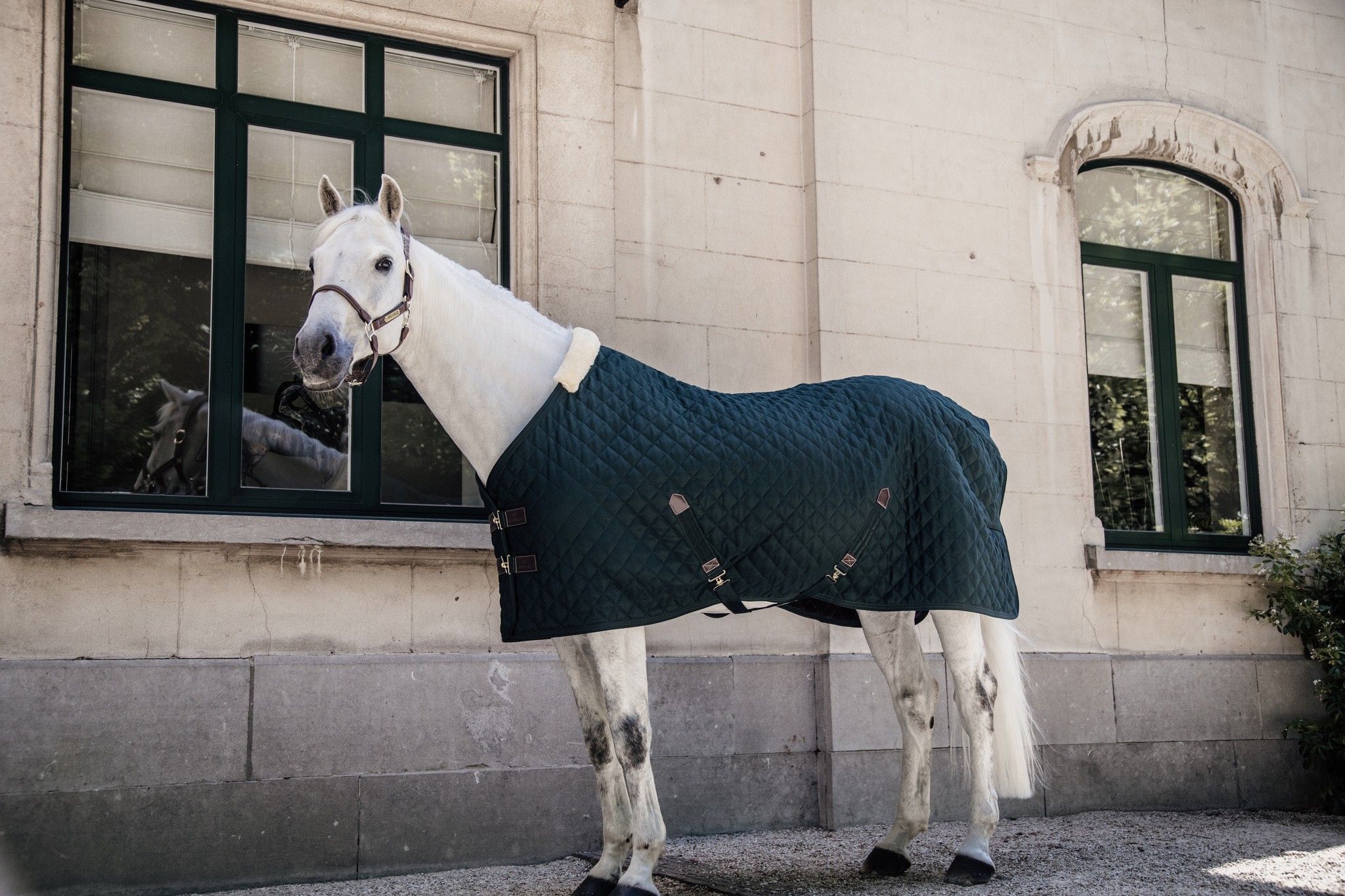 Zwarte staldeken van het kwaliteitsmerk Kentucky Horsewear. Zwarte staldeken van het kwaliteitsmerk Kentucky Horsewear.