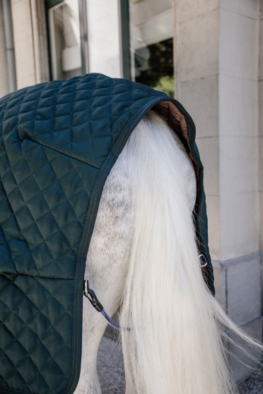 Zwarte staldeken van het kwaliteitsmerk Kentucky Horsewear. Zwarte staldeken van het kwaliteitsmerk Kentucky Horsewear.