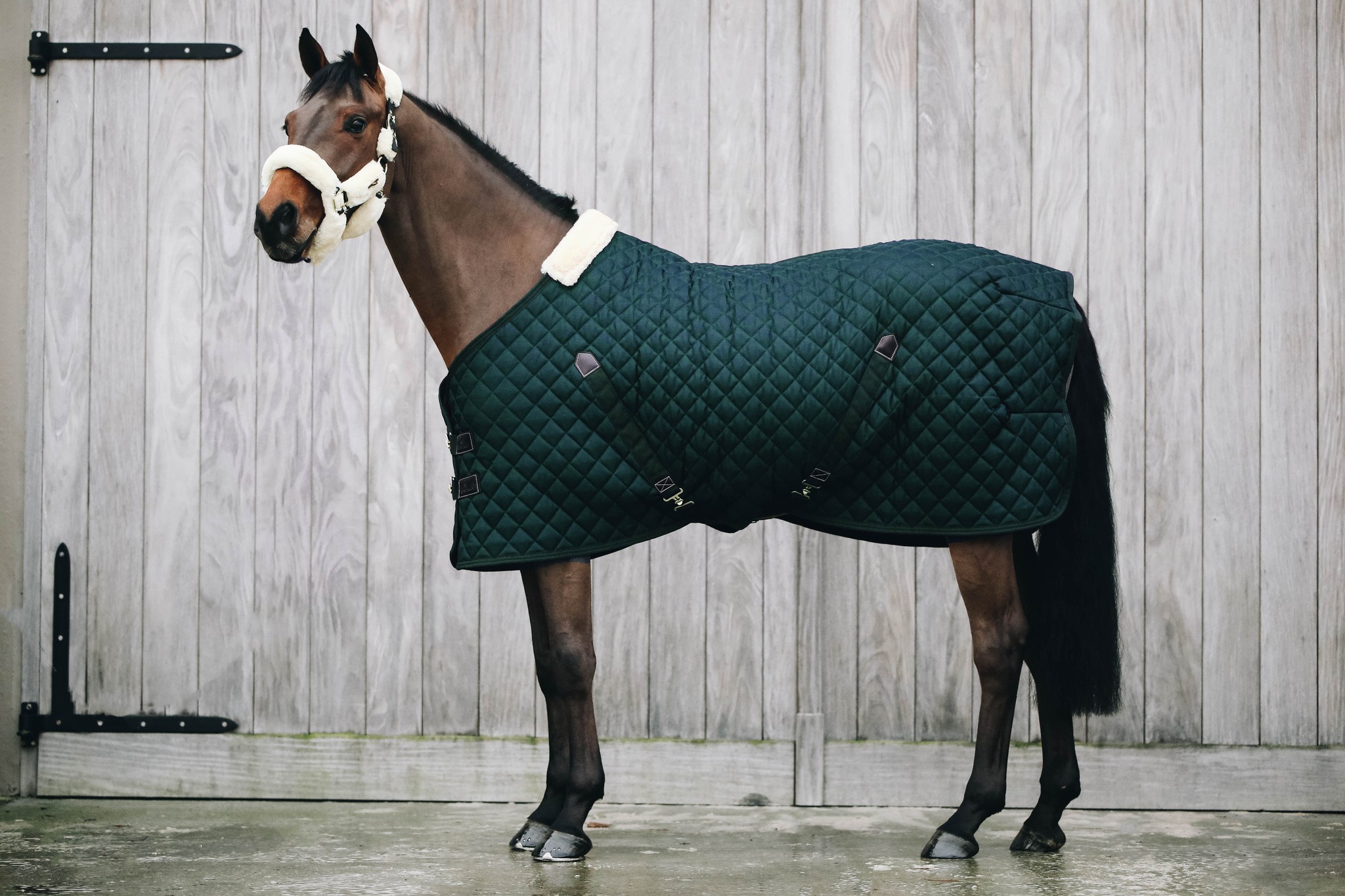 Zwarte staldeken van het kwaliteitsmerk Kentucky Horsewear. Zwarte staldeken van het kwaliteitsmerk Kentucky Horsewear.