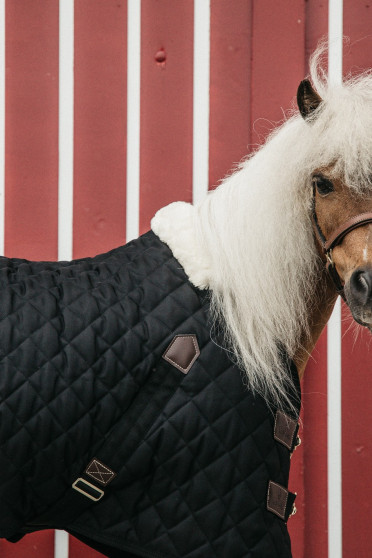 Kentucky Horsewear developed an outstanding line of quality rugs. Kentucky Horsewear developed an outstanding line of quality rugs.