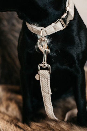 Kentucky Dogwear Dog Collar Wool Kentucky Dogwear Dog Collar Wool