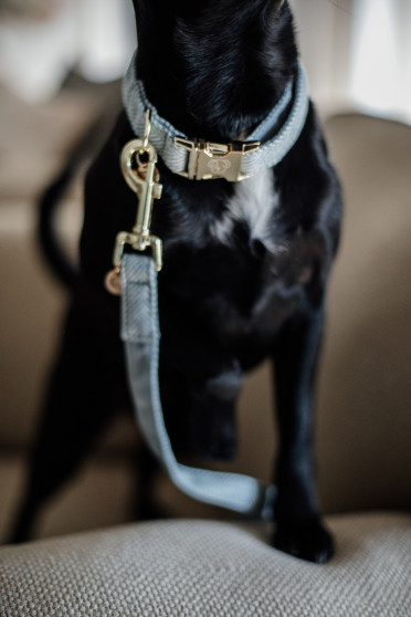 Kentucky Dogwear Dog Lead Wool 120CM Kentucky Dogwear Dog Lead Wool 120CM