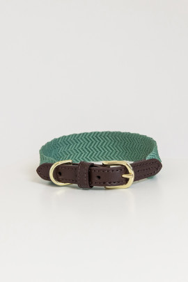 Kentucky Dogwear Dog Collar Jaquard