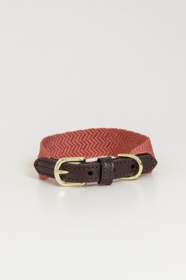 Kentucky Dogwear Dog Collar Jaquard