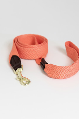 Kentucky Dogwear Dog Collar Jaquard Kentucky Dogwear Dog Collar Jaquard