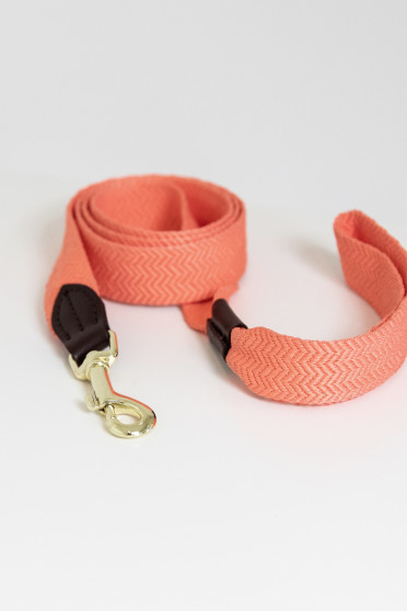 Kentucky Dogwear Dog Collar Jaquard Kentucky Dogwear Dog Collar Jaquard