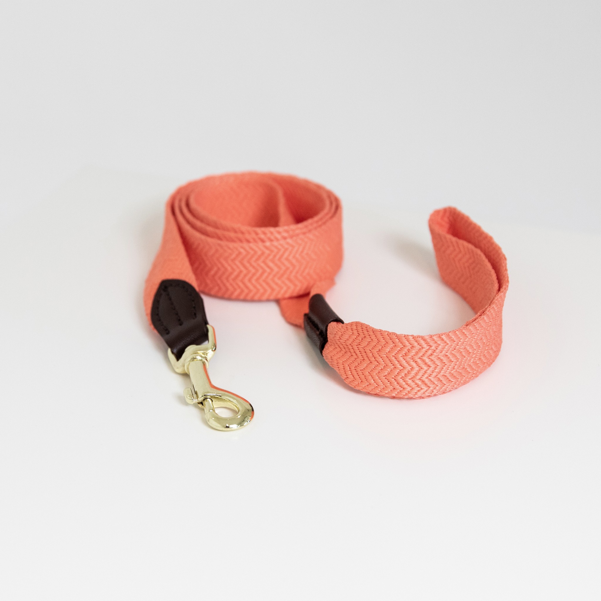 Kentucky Dogwear Dog Collar Jaquard Kentucky Dogwear Dog Collar Jaquard