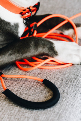 Kentucky Dogwear Dog Tow Lead Soft Rubber 5M Kentucky Dogwear Dog Tow Lead Soft Rubber 5M