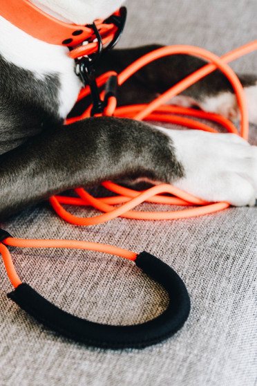 Kentucky Dogwear Dog Tow Lead Soft Rubber 5M Kentucky Dogwear Dog Tow Lead Soft Rubber 5M