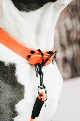 Kentucky Dogwear Dog Collar Soft Rubber Kentucky Dogwear Dog Collar Soft Rubber