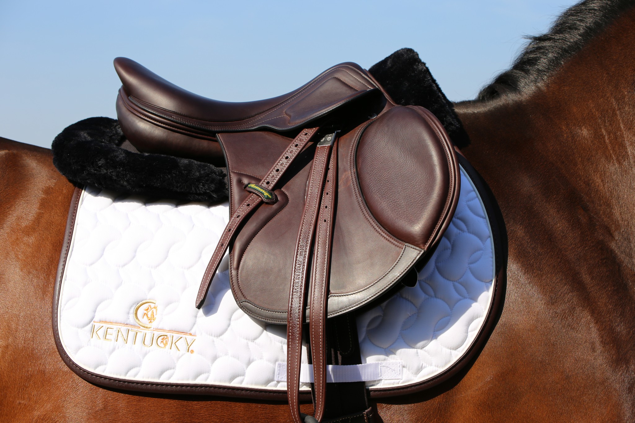 Kentucky Sheepskin Anatomic Half Pad Absorb Kentucky Sheepskin Anatomic Half Pad Absorb