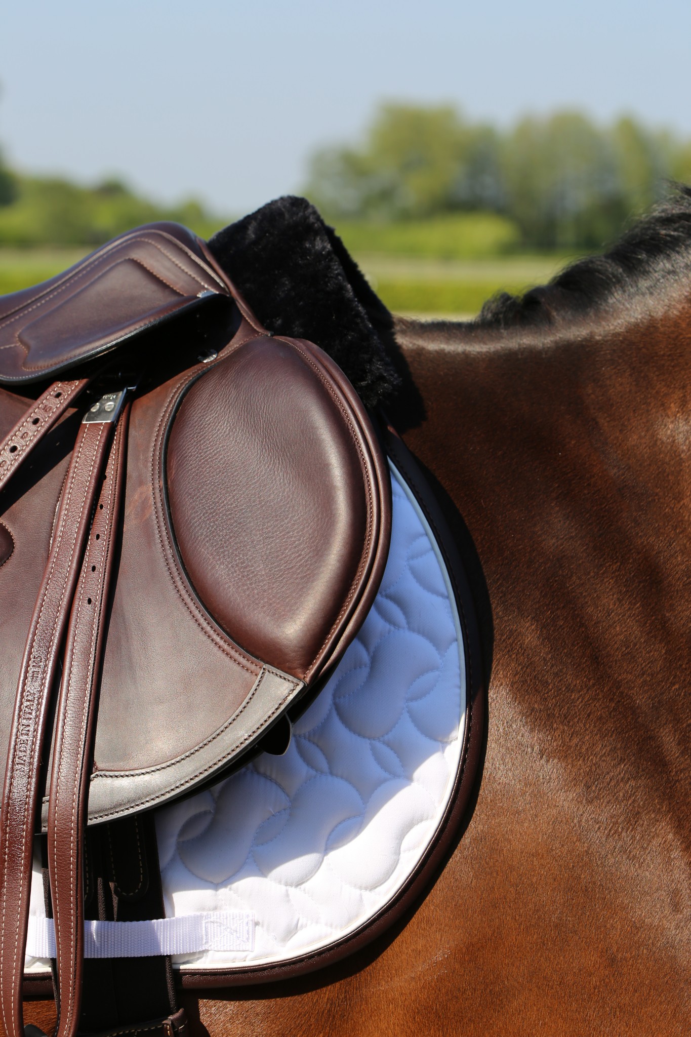 Kentucky Sheepskin Anatomic Half Pad Absorb Kentucky Sheepskin Anatomic Half Pad Absorb