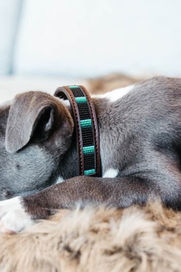 Kentucky Dogwear Dog Collar Handmade Pearls Black Kentucky Dogwear Dog Collar Handmade Pearls Black