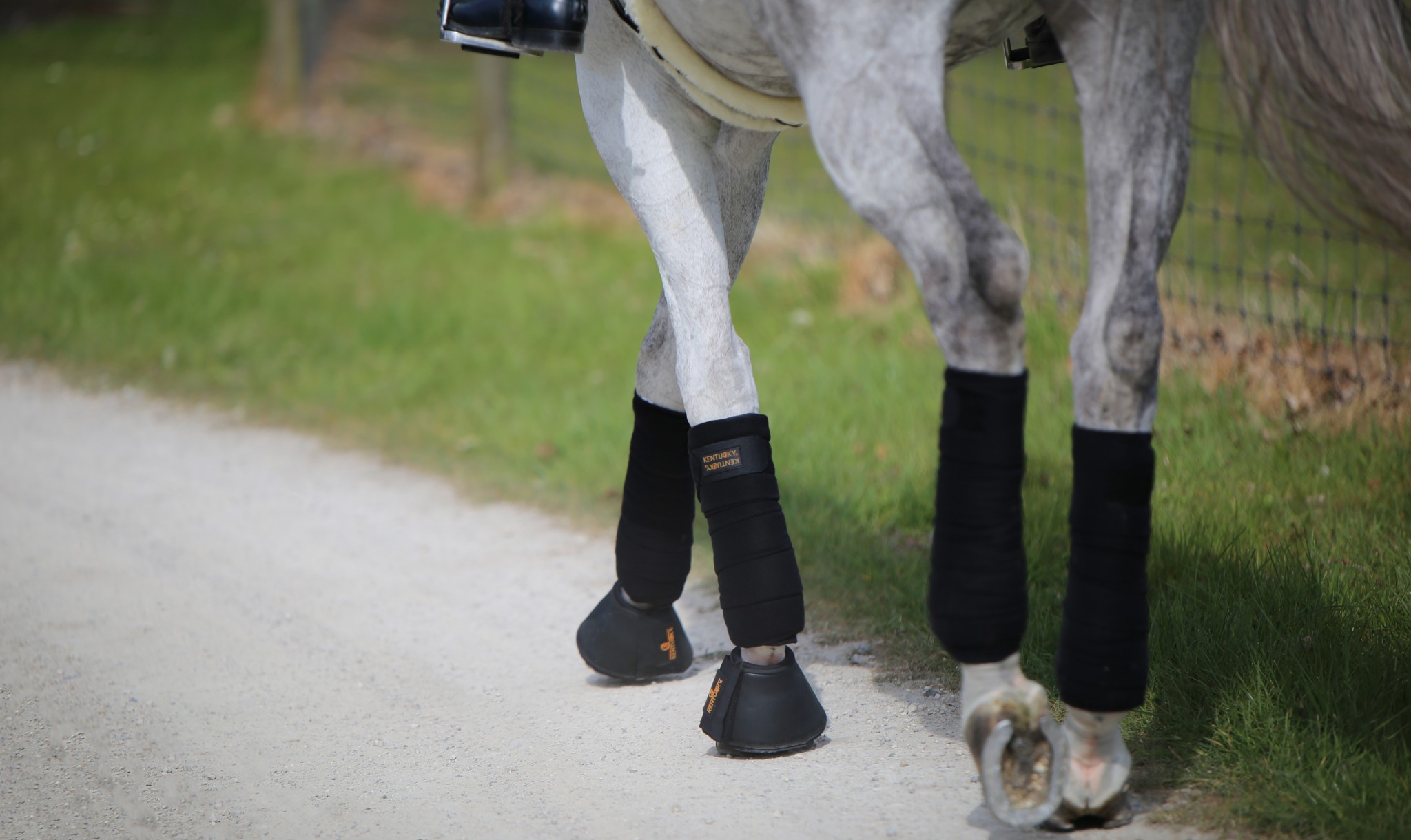 kentucky Springschoenen Leer kentucky Springschoenen Leer