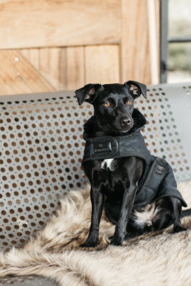 Kentucky Horsewear Dog Coat zwart met een zwarte bontkraag
