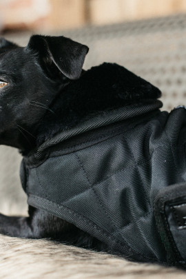 Kentucky Horsewear Dog Coat zwart met een zwarte bontkraag Kentucky Horsewear Dog Coat zwart met een zwarte bontkraag