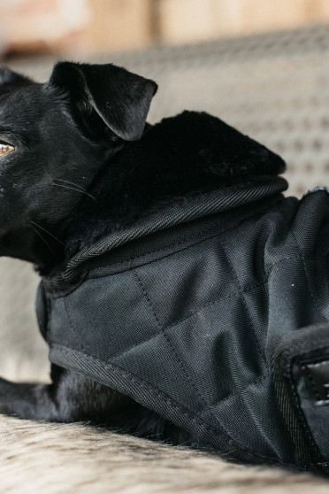Kentucky Horsewear Dog Coat zwart met een zwarte bontkraag Kentucky Horsewear Dog Coat zwart met een zwarte bontkraag
