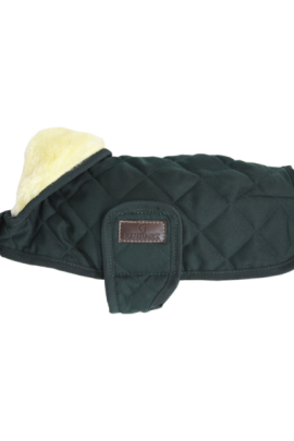 Kentucky Horsewear hondendeken met een vulling van 160 gram - Groen Kentucky Horsewear hondendeken met een vulling van 160 gram - Groen
